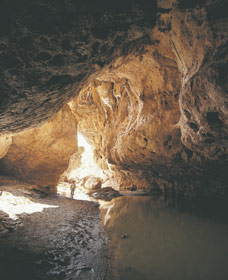 Tunnel Creek National Park - Geraldton Accommodation