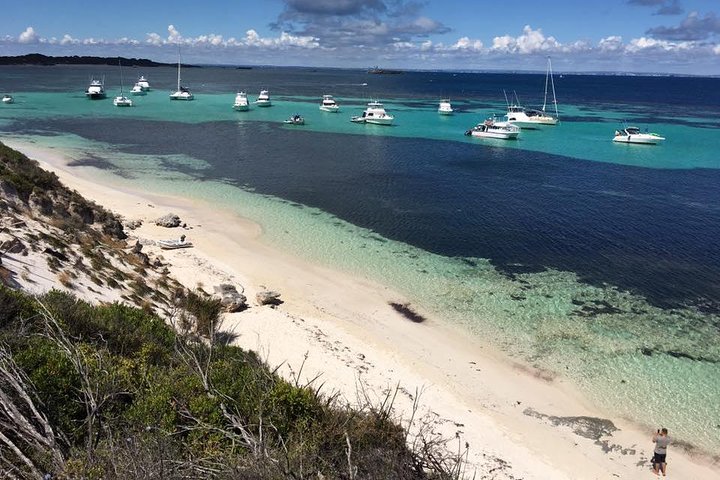 Experience Rottnest with Ferry  Bike Hire from Perth or Fremantle - Geraldton Accommodation